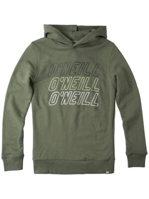 O'Neill All Year Hoodie olive leaves kaufen